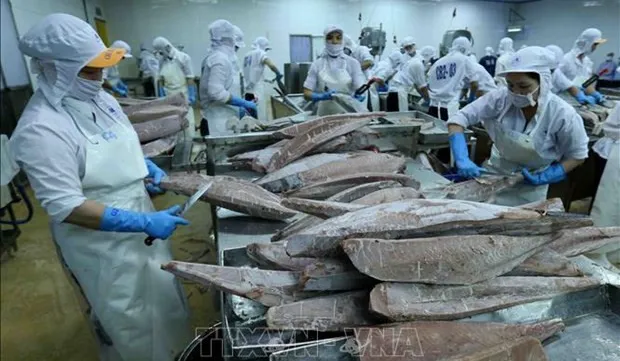 Tuna becomes billion-dollar export for first time: VASEP