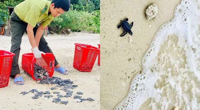 Solution to stop biodiversity loss