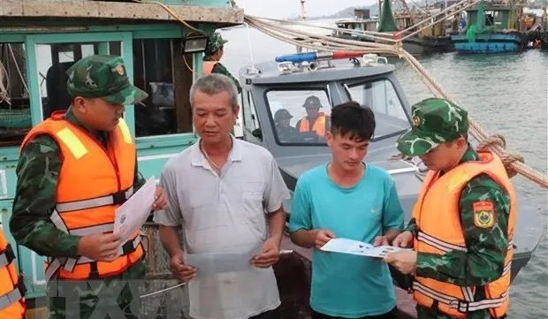 Kien Giang implements 180-day IUU fishing combat drive