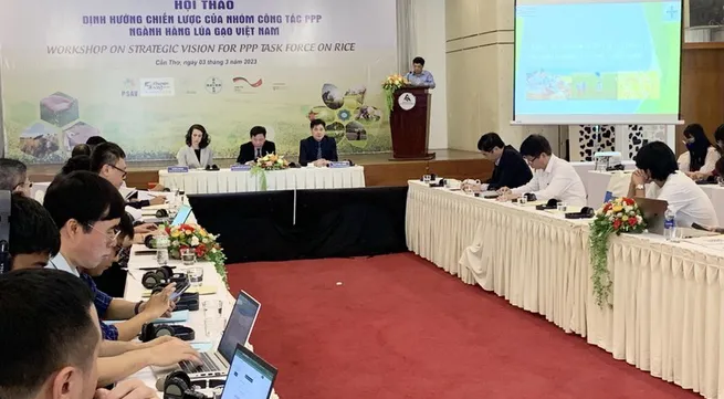 Task force established to promote public-private partnership in rice sector