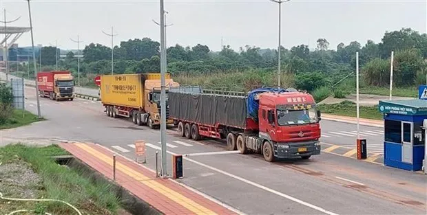 Mong Cai int’l border gate facilitates Vietnam’s exports to China