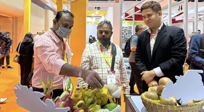 Expectations for fruit and vegetable export growth