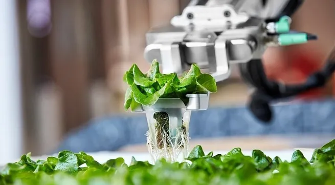 Application of AI technology to develop modern and sustainable agriculture