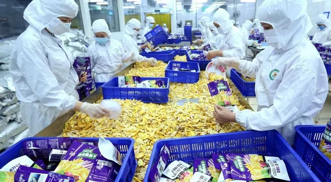 Vietnam’s opportunity to increase value of food manufacturing and processing