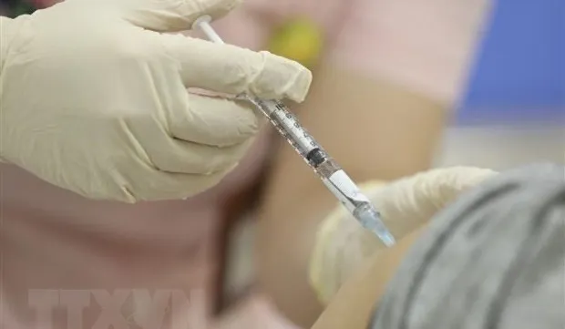 National COVID-19 caseload rises to 11,527,046