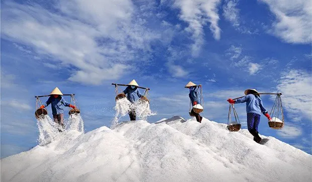 Vietnam's second International Photography Festival to take place in Binh Thuan