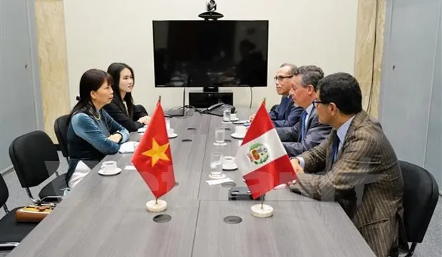 Peruvian President hails bilateral relations with Vietnam