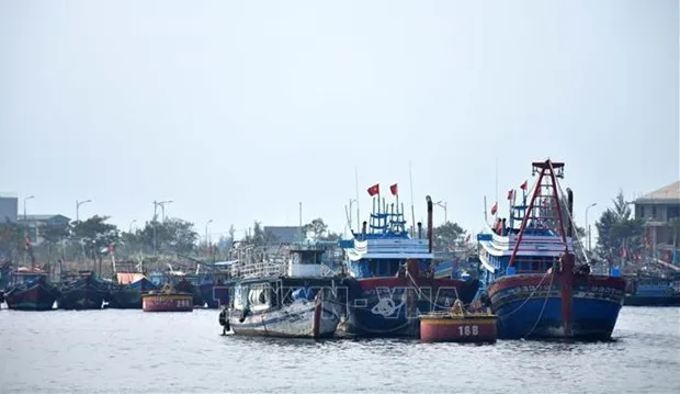 Vietnam needs to strengthen anti-IUU fishing measures: Deputy PM