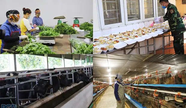 Bac Giang province expands food safety models