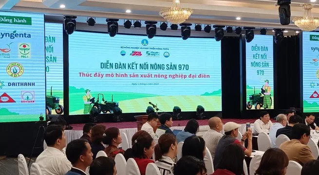 Forum seeks ways to promote large-scale agricultural production