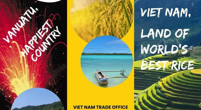 Vietnam's ST25 rice exported to the Republic of Vanuatu