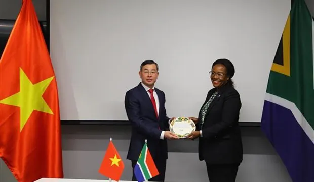 Vietnamese, South African audit offices share experience