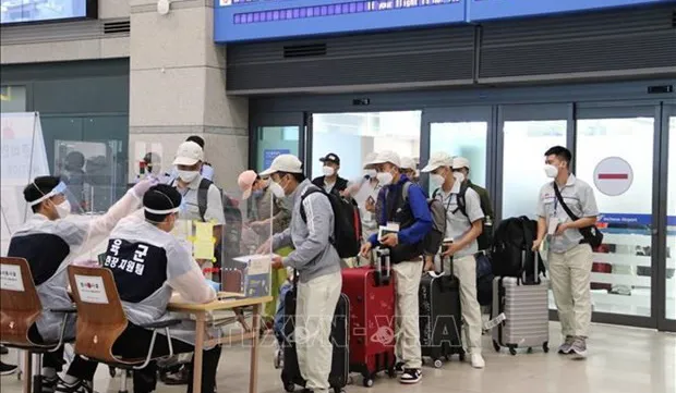 IOM pledges close cooperation with Vietnam to support migrant workers