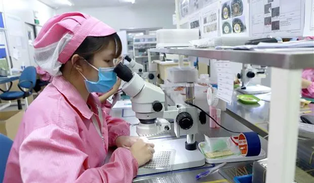 Vietnam sees improvements in FDI attraction: investor