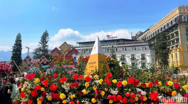 Sapa opens biggest rose festival in Northwest region