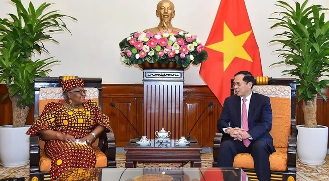 WTO Director-General hails Vietnam's role at WTO