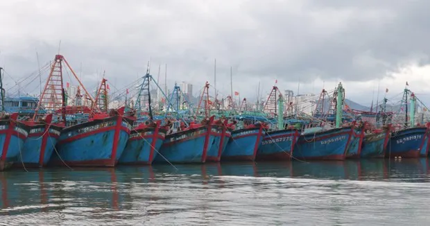 Vietnam Fisheries Trade Union raises fishermen's awarness on combatting IUU fishing