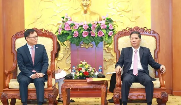 Vietnam views RoK as important, long-term strategic partner: Party official