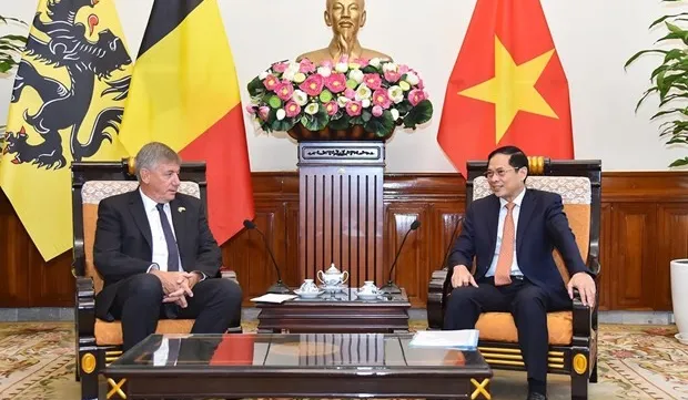 Foreign Minister receives leader of Belgium's Flanders region