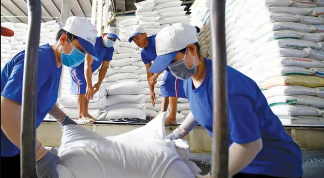 Vietnam sets new record in rice exports