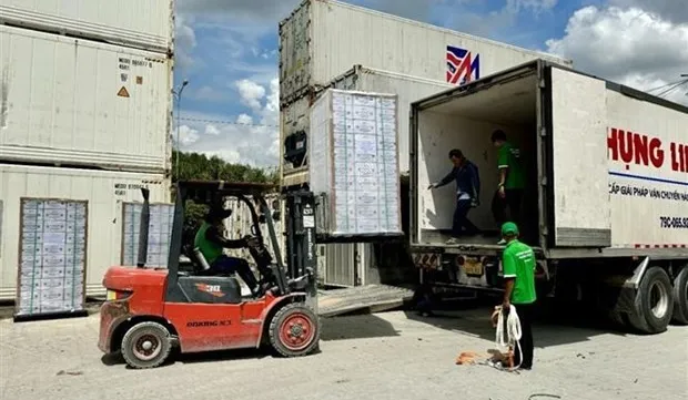 Coconut nectar drink exported to US for first time