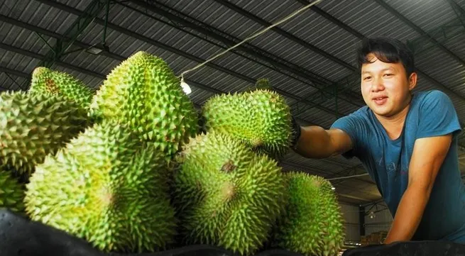 Vietnam’s fruit and vegetable exports beat five-year record
