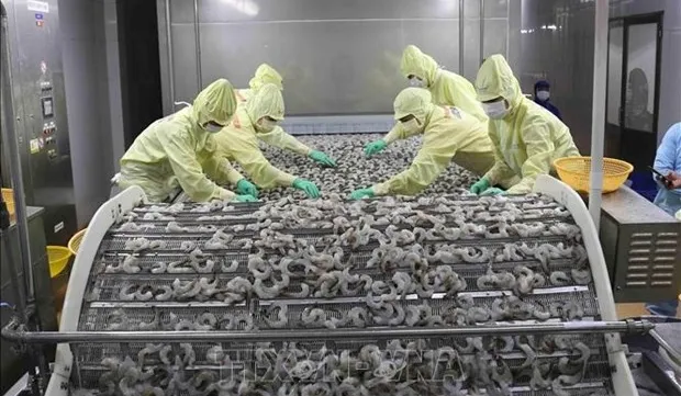 Vietnam aims to improve shrimp export competitiveness
