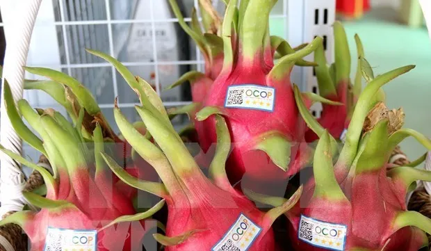 Vietnam's farm produce, processed food introduced in India