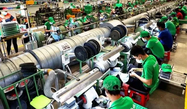 Firms expand business as 2024 nears