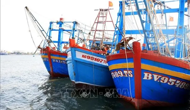 Southern coastal provinces crack down on IUU fishing