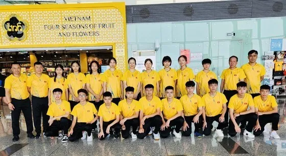 Vietnamese player wins gold at 2023 SEA Youth Table Tennis Championship