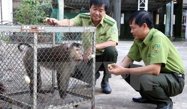 Vietnamese, Lao localities enhance cooperation in forest, wildlife protection