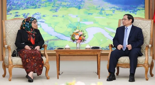 PM Pham Minh Chinh hosts Bruneian Ambassador