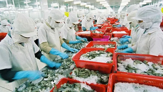 Seafood exports to recover during year-end