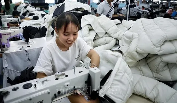 Vietnam, RoK strengthen textile cooperation