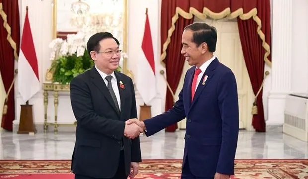 Vietnam treasures strategic partnership with Indonesia: NA Chairman