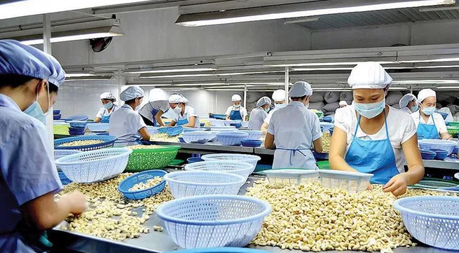 Exports up 13.8% in first half: ministry