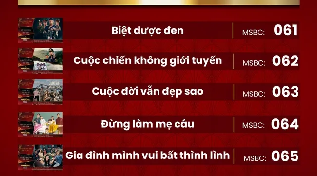 5 TV drama nominees for the 2023 VTV Awards