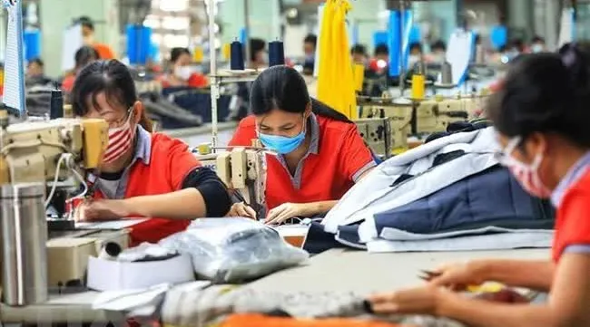 Kien Giang province to expand organic rice cultivation