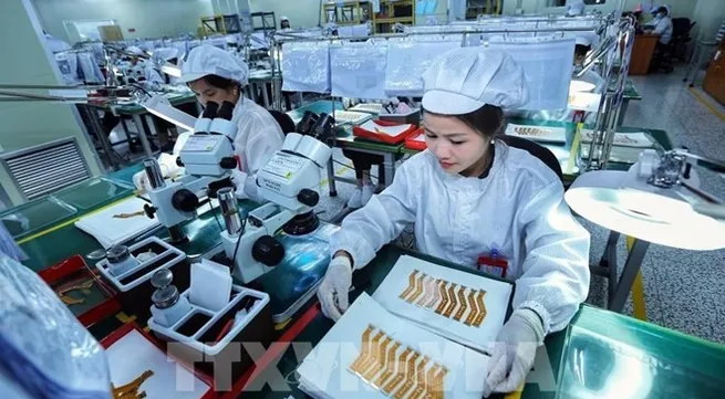 Nearly 160,000 new firms established in Vietnam in 2023