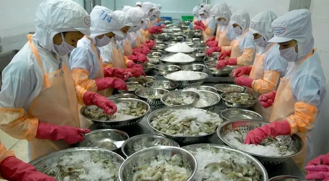 Shrimp exports to reach 3.4 bln USD in 2023: Association