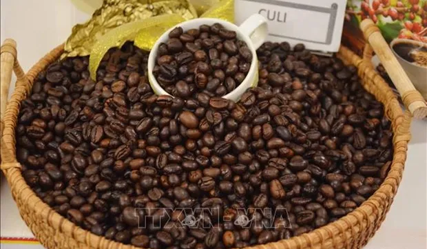 Vietnam’s coffee export value doubles in January