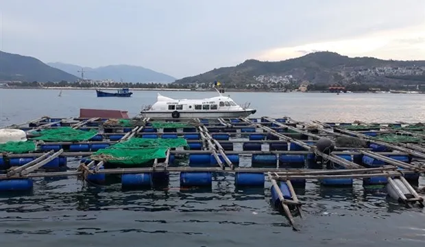 Khanh Hoa seeks green light for high-tech marine farming project