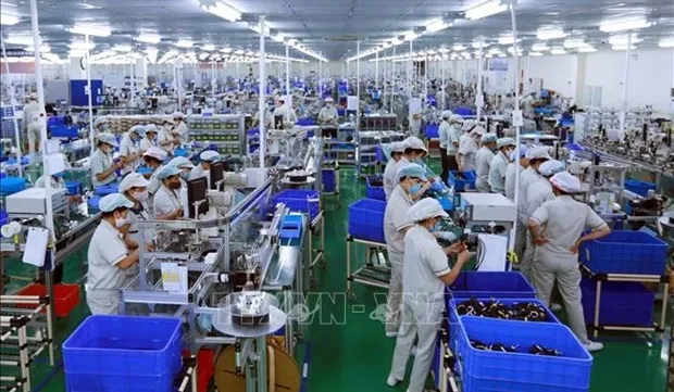 Vietnam among Asia-Pacific’s top-performing markets in 2024 first half: CNBC