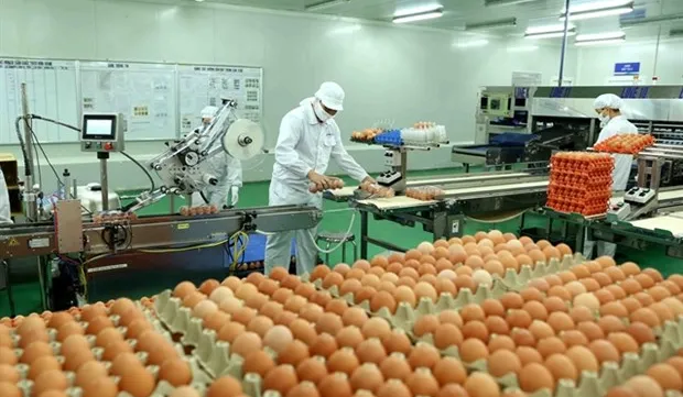 Vietnam has potential to promote livestock product exports to China