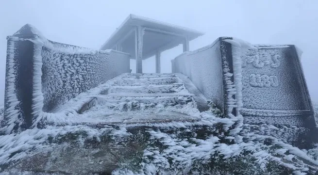 Severe cold continues to hit Northern region, frost seen in some places