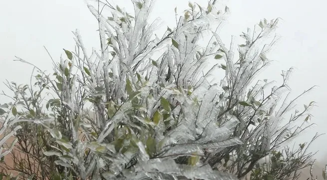 PM calls for preventive solutions against severe cold wave