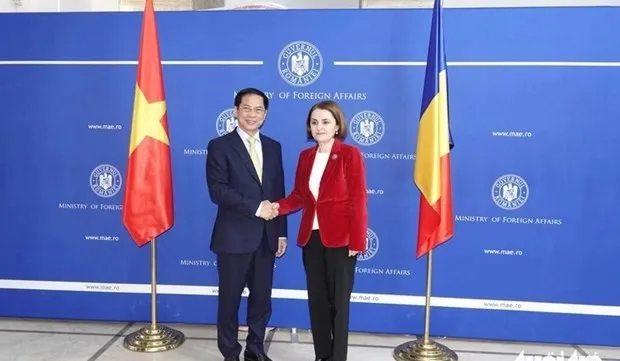 Vietnam fosters diplomatic ties with Romania, Hungary