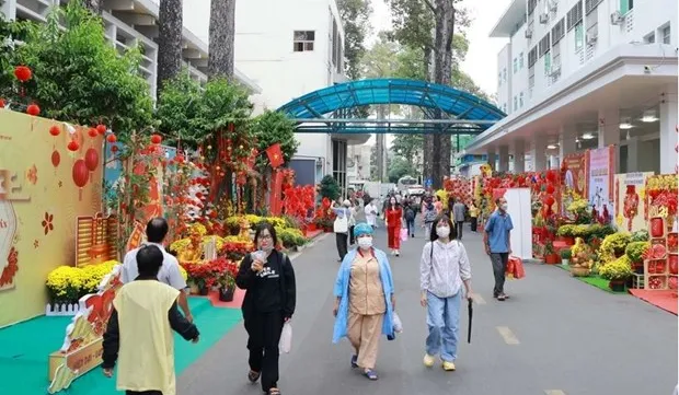 Flower streets bring spring to patients in HCM City