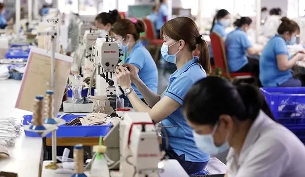 Vietnamese economy proceeding as predicted: experts